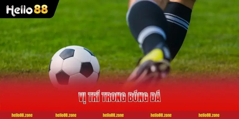 1 4 Tuyến Vị Trí Trong Bóng Đá Người Mới Chơi Nên Biết 4 Tuyến Vị Trí Trong Bóng Đá Người Mới Chơi Nên Biết