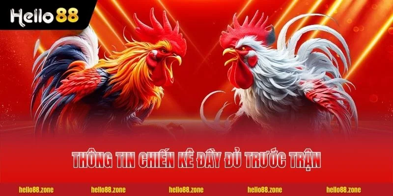 4 ĐÁ GÀ HELLO88 Thông tin chiến kê đầy đủ trước trận