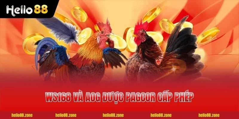 2 ĐÁ GÀ HELLO88 Ws168 và AOG được PAGCOR cấp phép